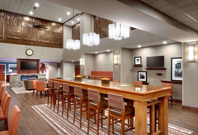 هتل Hampton Inn & Suites Pocatello