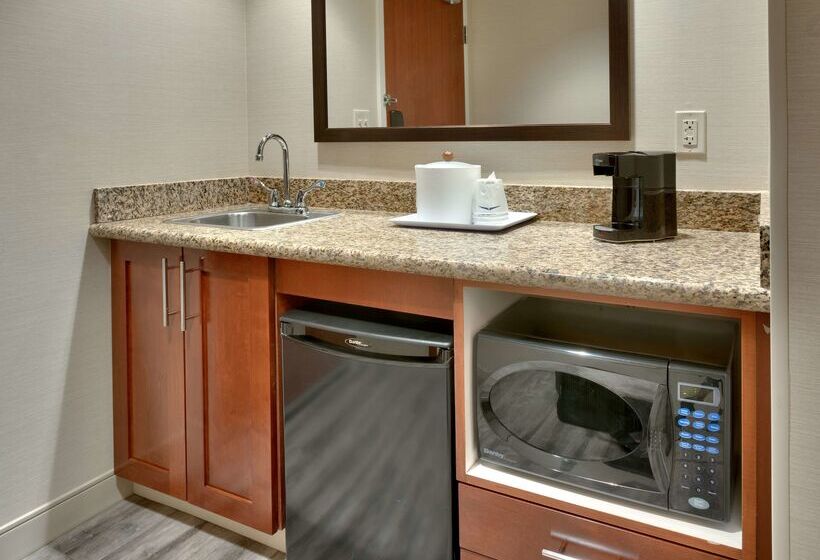 هتل Hampton Inn & Suites Pocatello