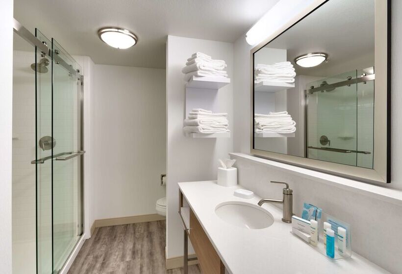 هتل Hampton Inn & Suites Pocatello