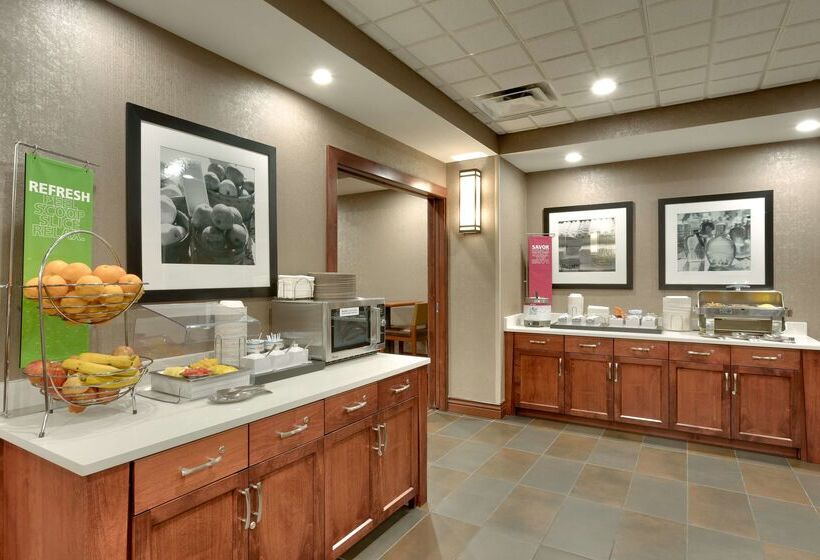 هتل Hampton Inn & Suites Pocatello