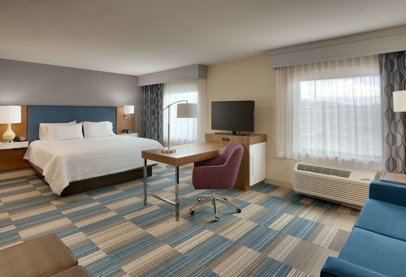 هتل Hampton Inn & Suites Pocatello