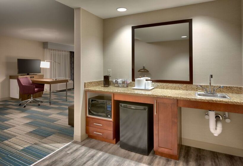 هتل Hampton Inn And Suites Pocatello