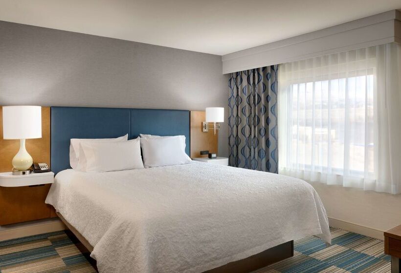 Отель Hampton Inn And Suites Pocatello