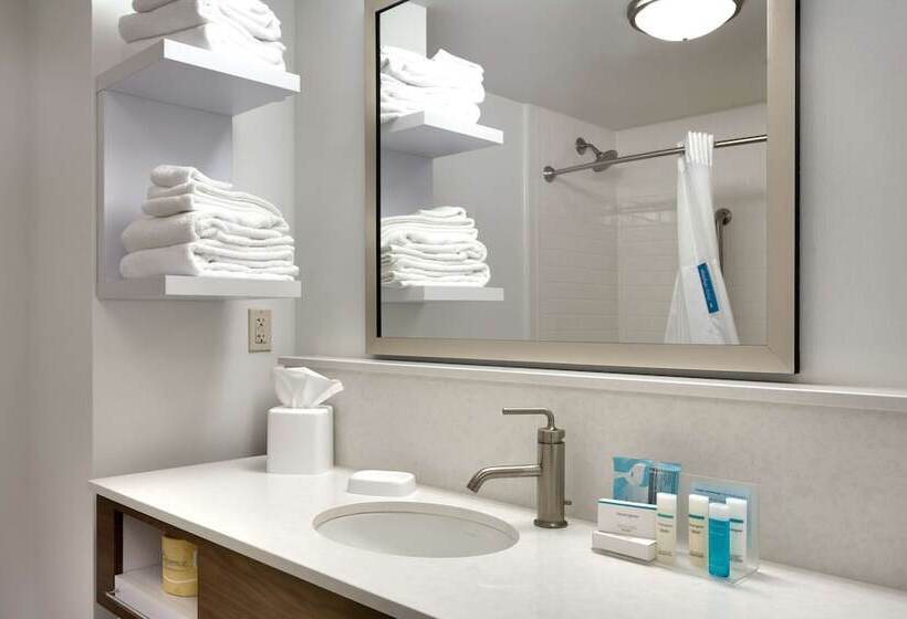 هتل Hampton Inn & Suites Pocatello