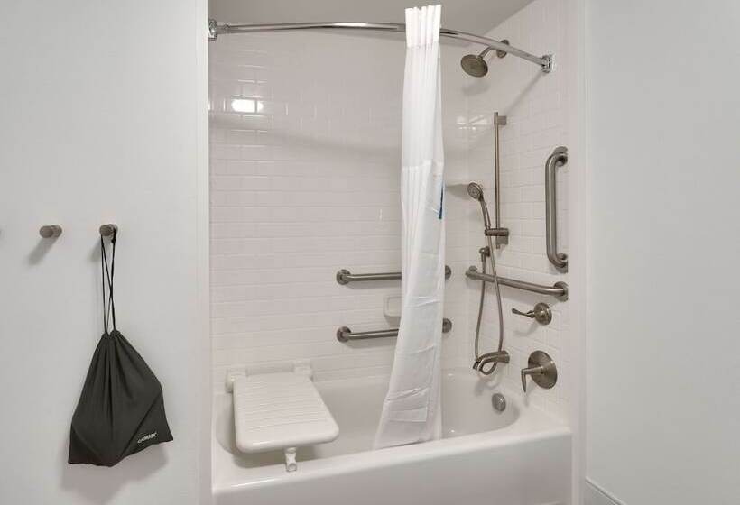 هتل Hampton Inn & Suites Pocatello