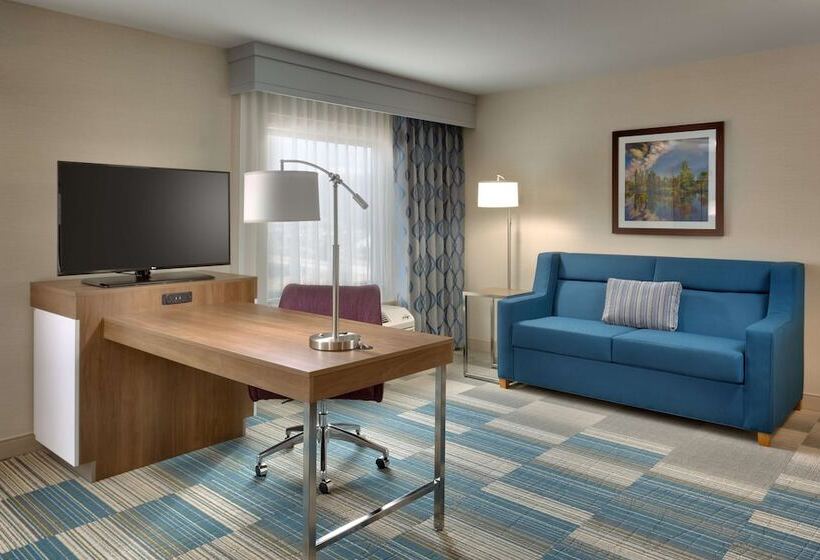 هتل Hampton Inn & Suites Pocatello