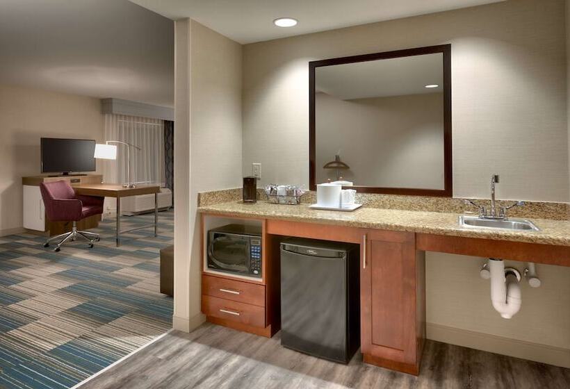 هتل Hampton Inn & Suites Pocatello