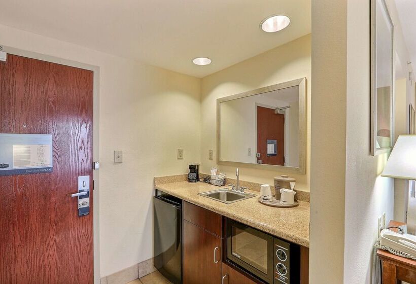 هتل Hampton Inn & Suites Savannah   I 95 South   Gateway