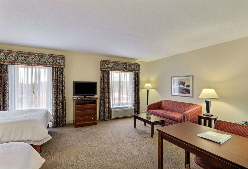هتل Hampton Inn & Suites Savannah   I 95 South   Gateway