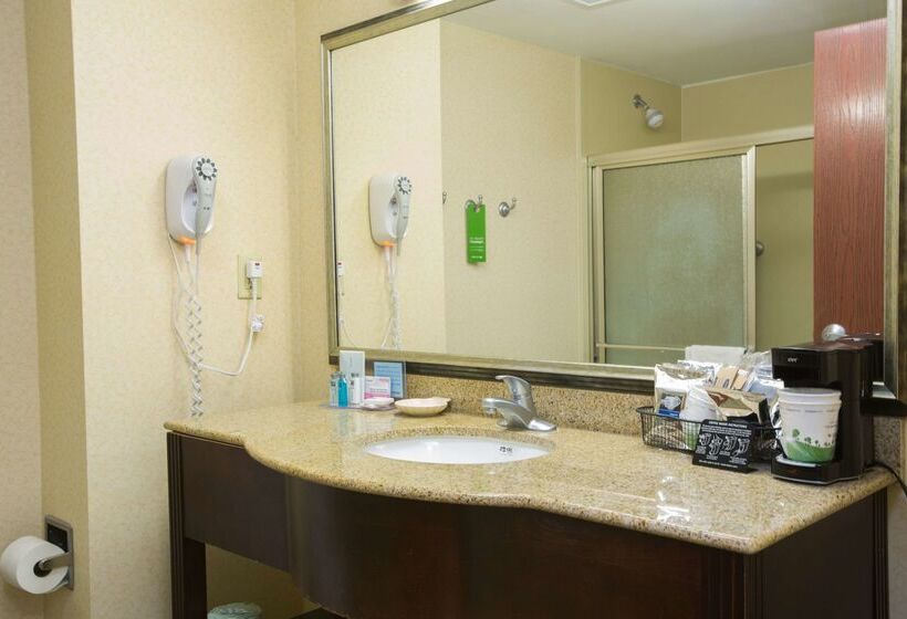 هتل Hampton Inn & Suites Savannah   I 95 South   Gateway