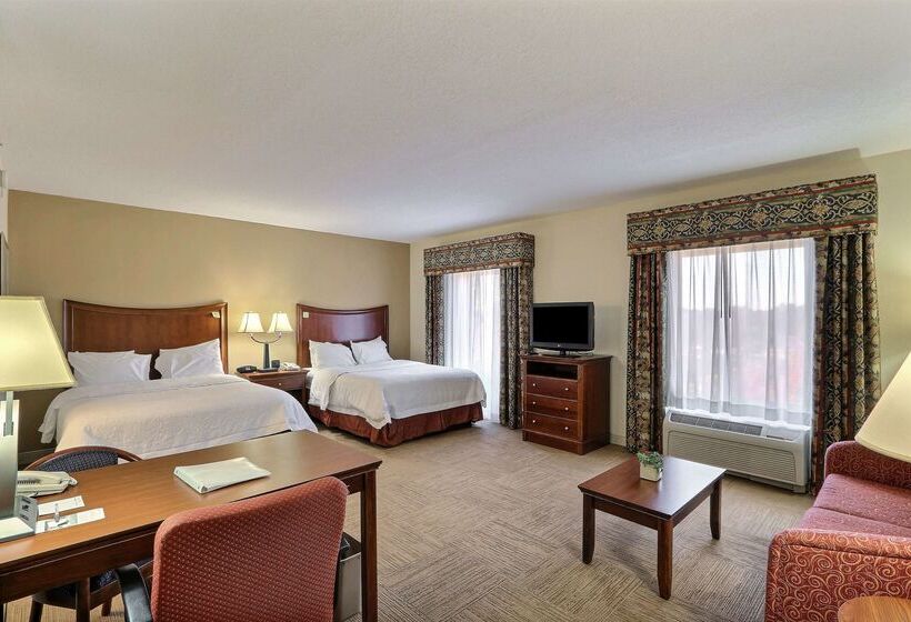 هتل Hampton Inn & Suites Savannah   I 95 South   Gateway