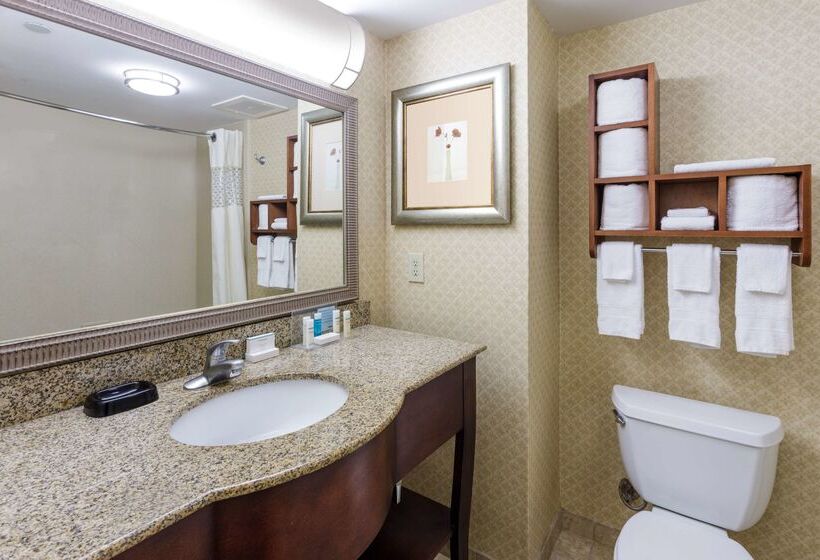 هتل Hampton Inn Moss Point Pascagoula