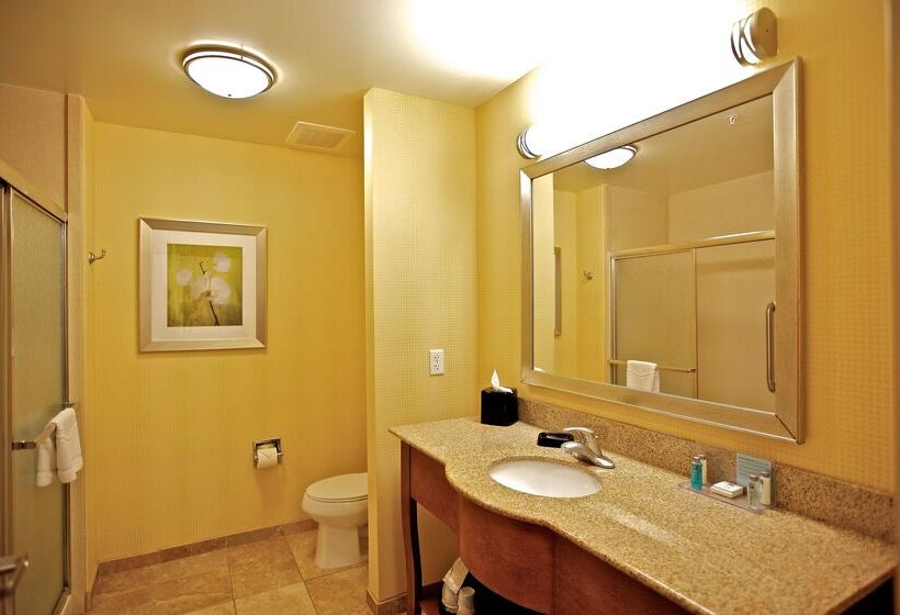هتل Hampton Inn Ringgold Ft. Oglethorpe