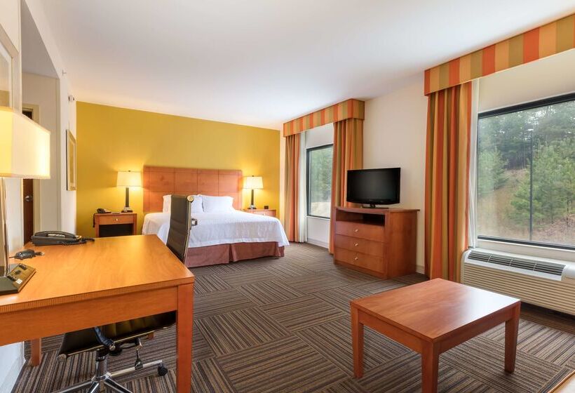 هتل Hampton Inn Ringgold Ft. Oglethorpe