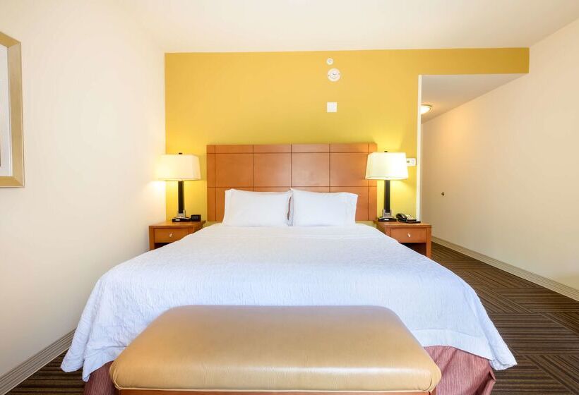 هتل Hampton Inn Ringgold Ft. Oglethorpe