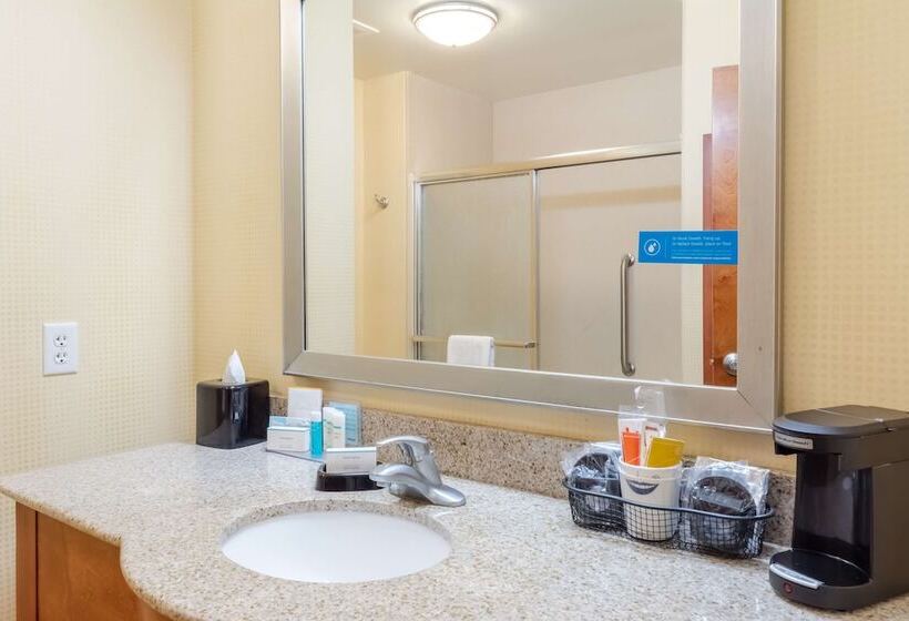 هتل Hampton Inn Ringgold Ft. Oglethorpe