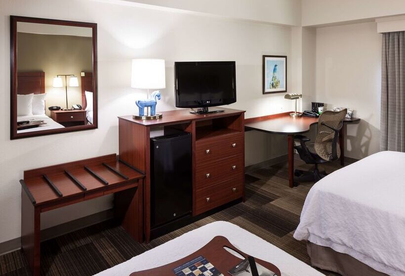 هتل Hampton Inn & Suites Boisedowntown