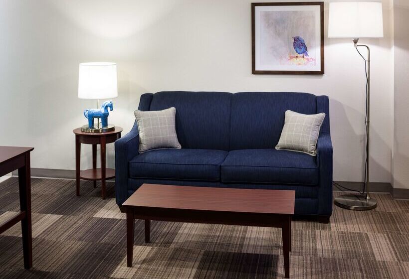 هتل Hampton Inn & Suites Boisedowntown