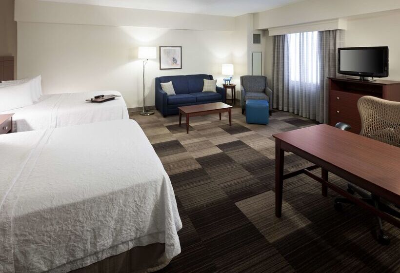 هتل Hampton Inn & Suites Boisedowntown