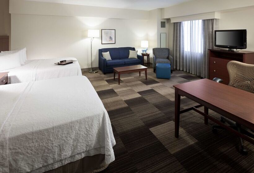 Hotel Hampton Inn & Suites Boisedowntown