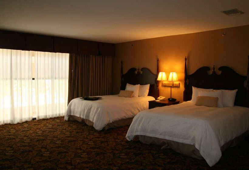 هتل Hampton Inn & Suites Del Rio, Tx
