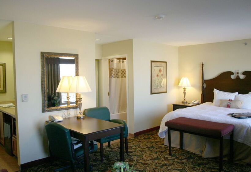 هتل Hampton Inn & Suites Del Rio, Tx