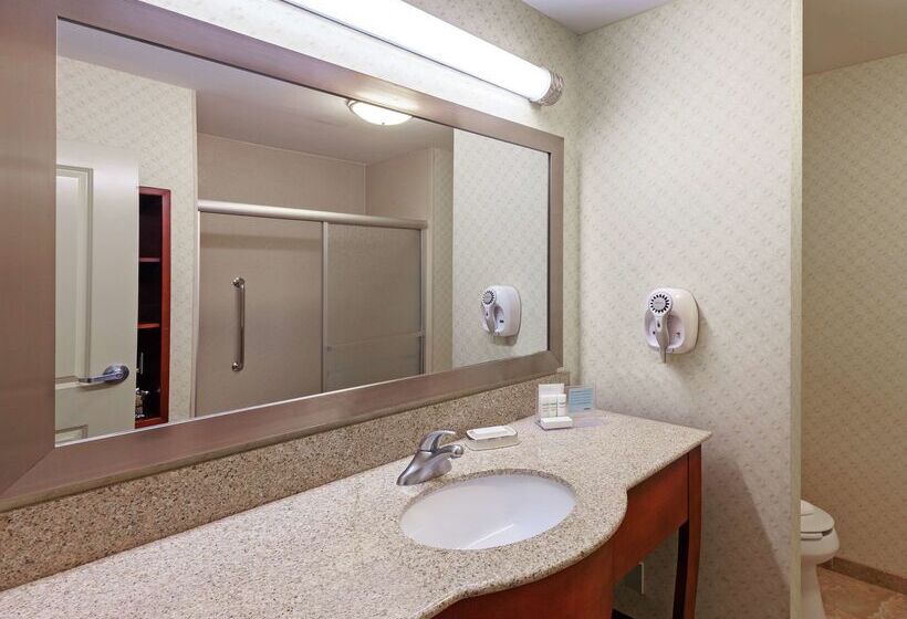 فندق Hampton Inn & Suites El Paso West