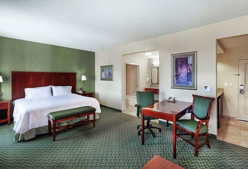 فندق Hampton Inn & Suites El Paso West