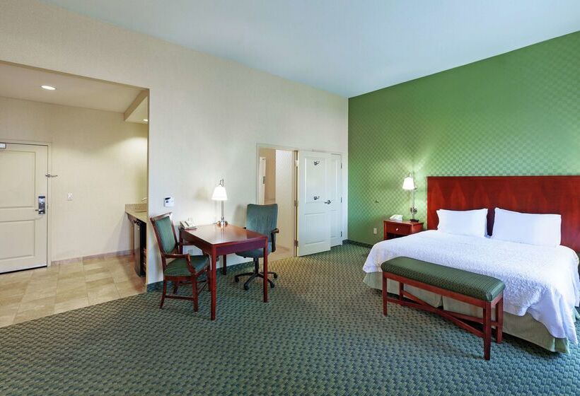 هتل Hampton Inn & Suites El Paso West