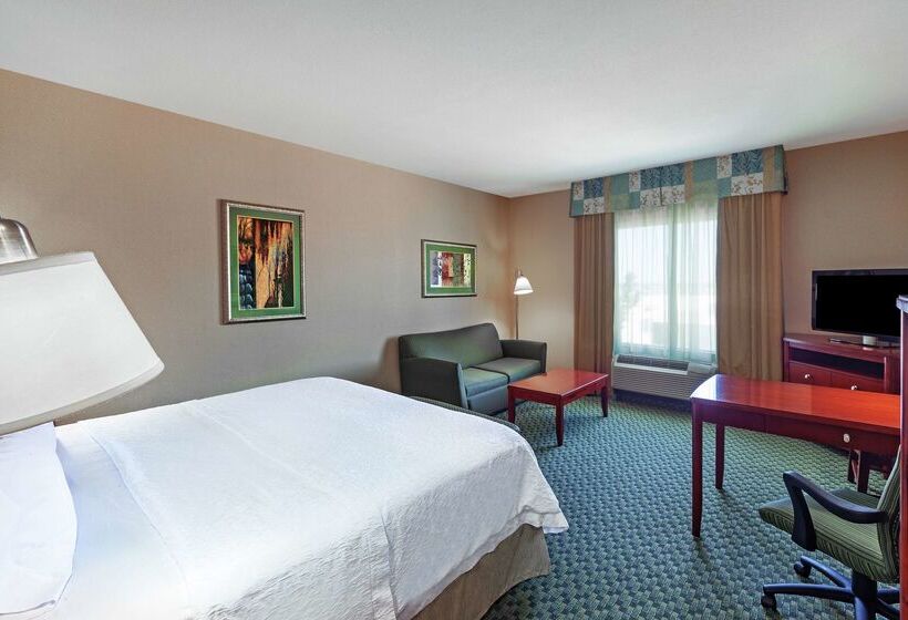 فندق Hampton Inn & Suites El Paso West