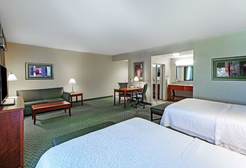 فندق Hampton Inn & Suites El Paso West