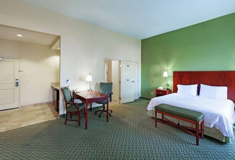 هتل Hampton Inn & Suites El Paso West