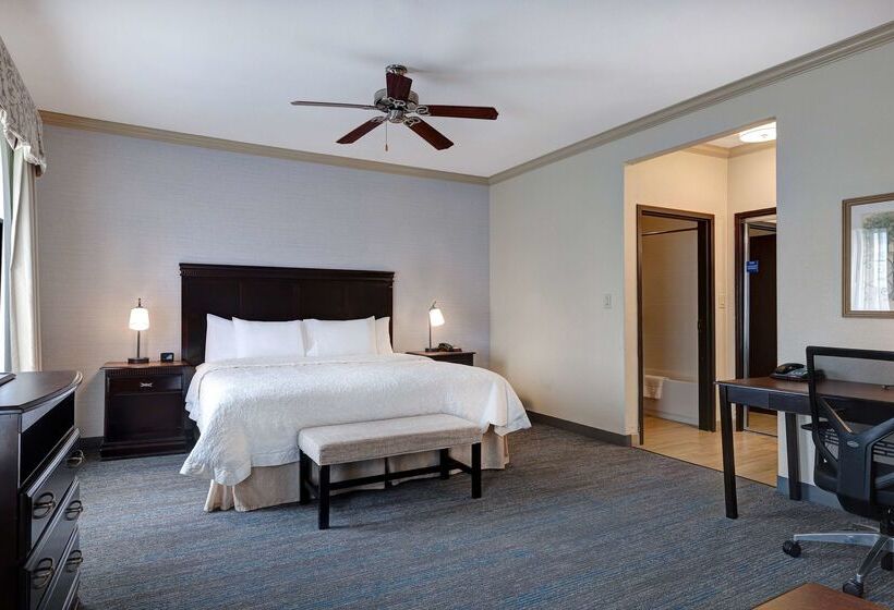 هتل Hampton Inn & Suites Galveston