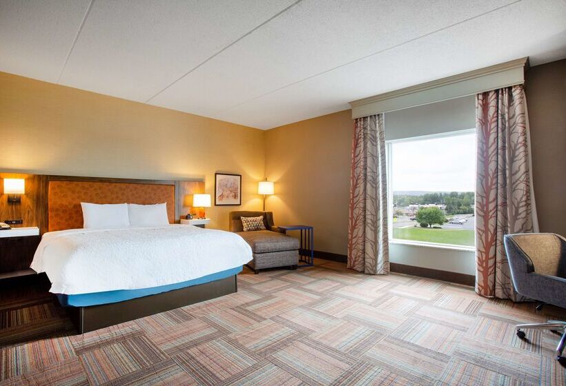 Hotel Hampton Inn Watertown