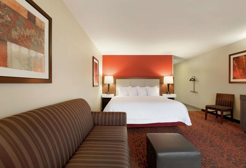 هتل Hampton Inn Wichita Fallssikes Senter Mall