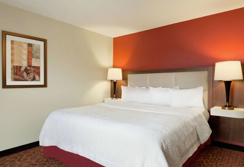 Hôtel Hampton Inn Wichita Fallssikes Senter Mall