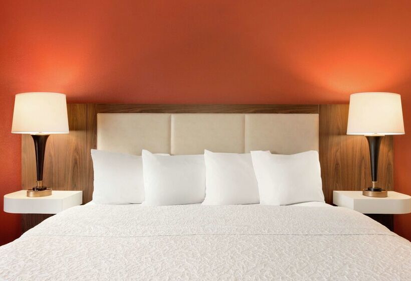 هتل Hampton Inn Wichita Fallssikes Senter Mall