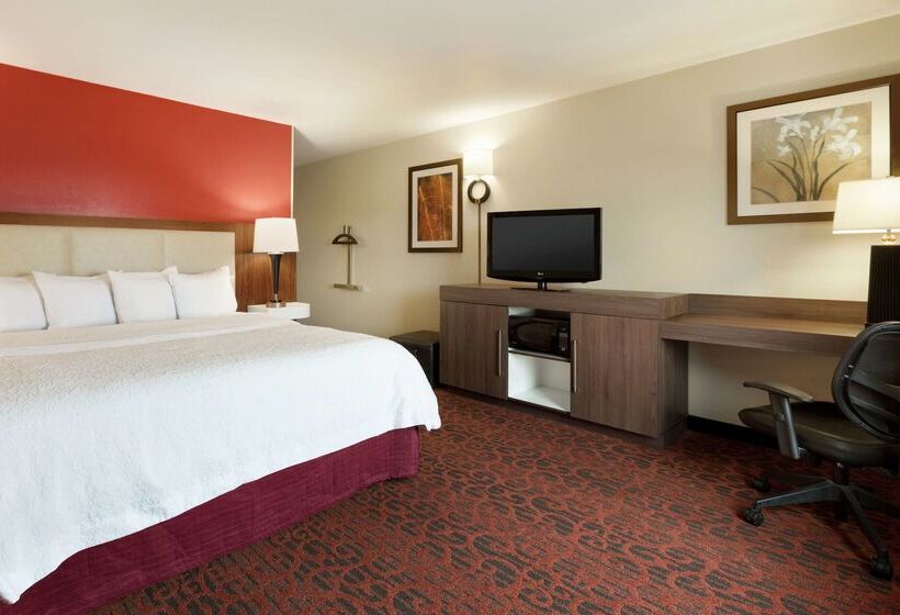 Hotel Hampton Inn Wichita Fallssikes Senter Mall