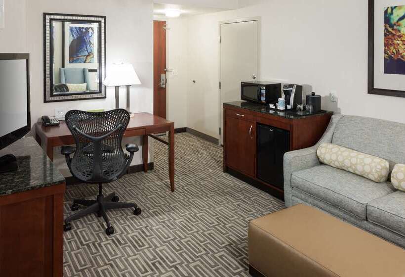 هتل Hilton Garden Inn Denver Downtown