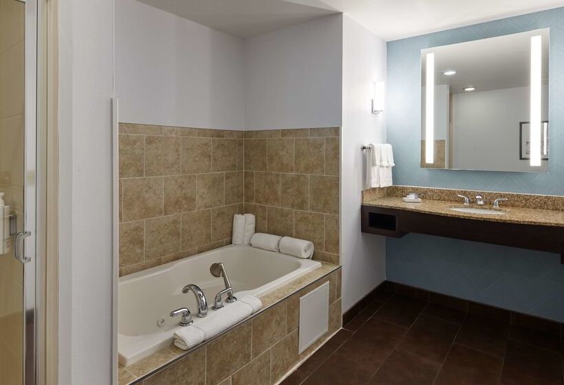 فندق Hilton Garden Inn Merrillville