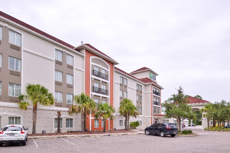 בית מלון כפרי Holiday Inn Express Tampa North Telecom Park, An Ihg