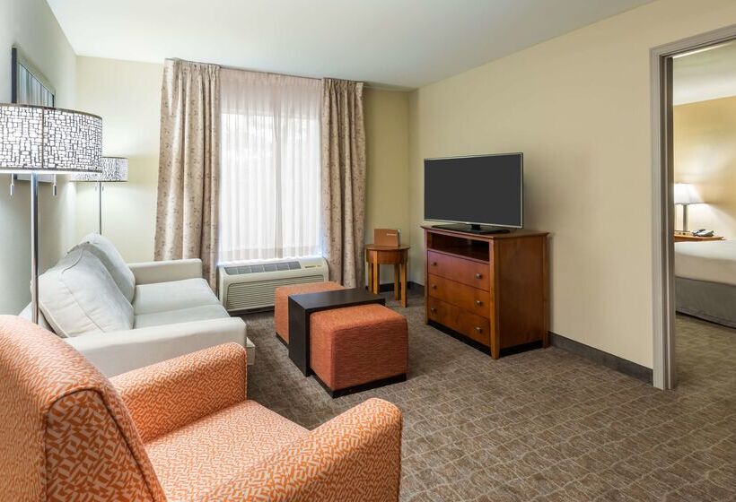 Hotel Homewood Suites By Hilton St. Louis Riverport Airport West