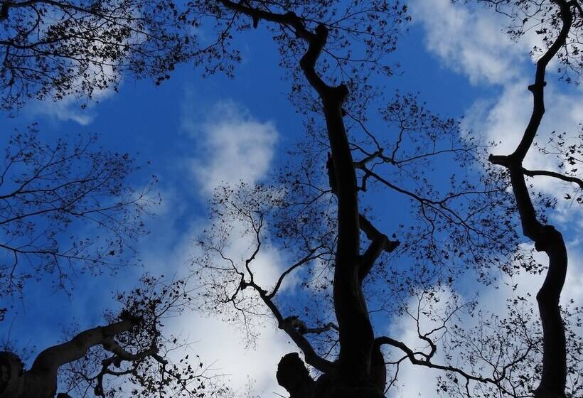 هتل Koyasan Sekishoin
