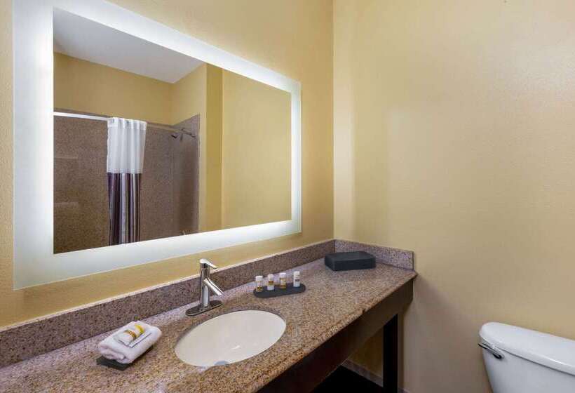 Отель La Quinta Inn & Suites By Wyndham Angleton