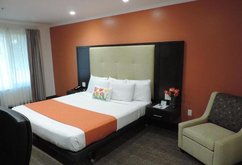هتل Pavilion Inn