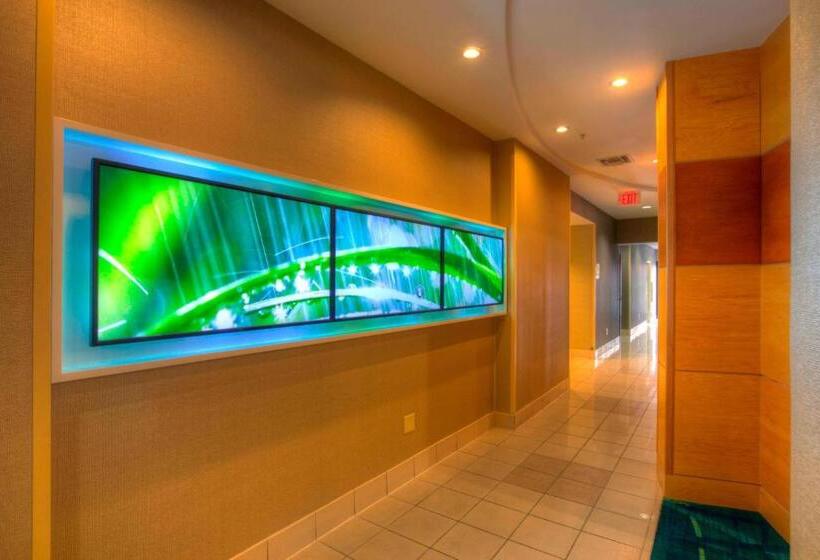 Отель Springhill Suites By Marriott Tampa Brandon