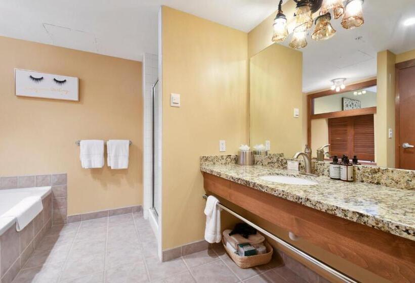 هتل Sundial Lodge By Park City   Canyons Village