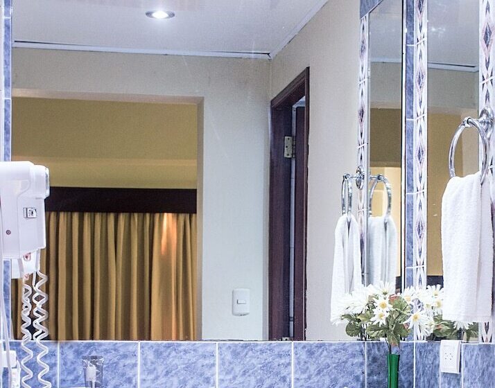 Fotos del hotel W&p Santo Domingo:  6