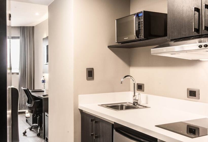 Fotos del hotel W&p Santo Domingo:  4