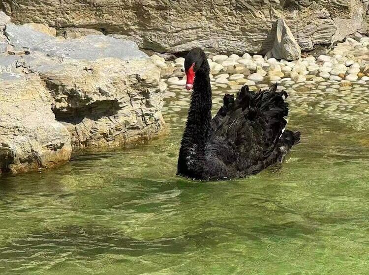 בית מלון כפרי Wyndham Qingdao